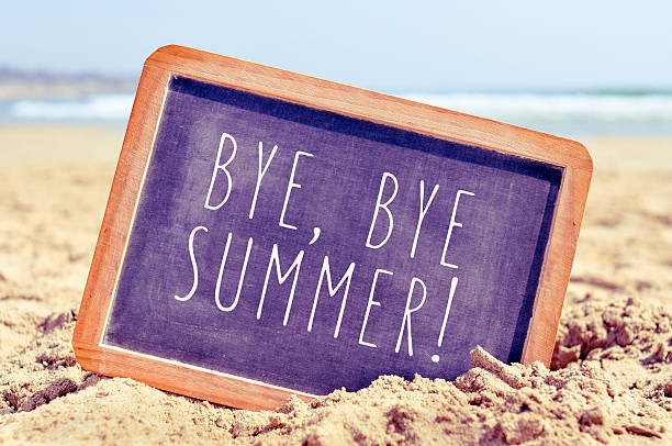 What a Summer it's been...